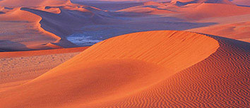 关注最新一场重要的亚洲足球赛事